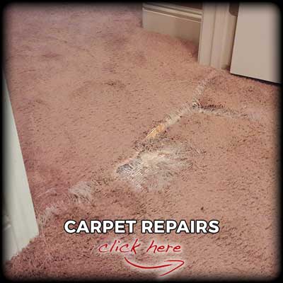 carpet-repair-services-logo